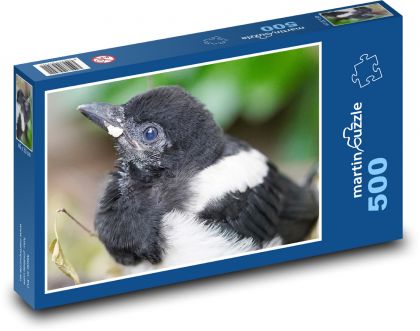 Magpie - bird, chick - Puzzle of 500 pieces, size 46x30 cm 