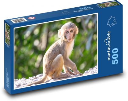 Monkey - Chimpanzee - Puzzle of 500 pieces, size 46x30 cm 