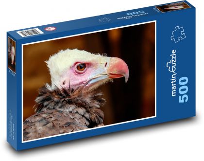 Geier - Vogel - Puzzle - 500 Teile