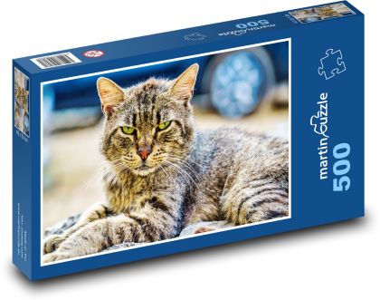 Kot domowy - Puzzle 500 elementów, rozmiar 46x30 cm