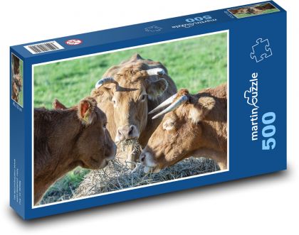 Kravy - Puzzle 500 dielikov, rozmer 46x30 cm 