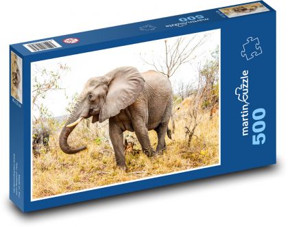 Slon v přírodě - puzzle 500 dílků