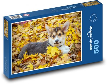 Pies - corgi w jesiennych liściach - Puzzle 500 elementów, rozmiar 46x30 cm