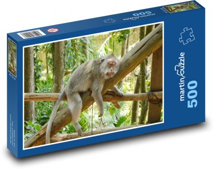 Indonesia - Bali, monkey - Puzzle of 500 pieces, size 46x30 cm 