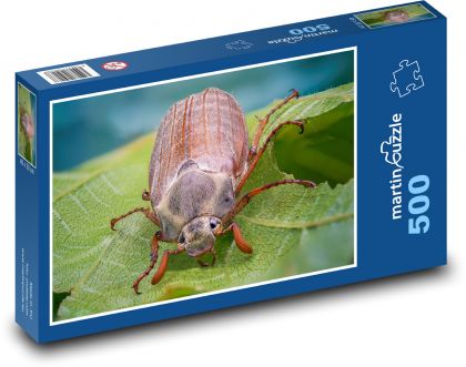 Chrząszcz - owad - Puzzle 500 elementów, rozmiar 46x30 cm