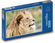 Lev - velká kočka Puzzle 500 dílků - 46 x 30 cm