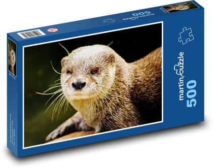 Vydra - mláďa - Puzzle 500 dielikov, rozmer 46x30 cm 