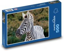 Zebra Puzzle 500 Teile - 46 x 30 cm