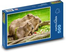 Kapybara Puzzle 500 dielikov - 46 x 30 cm 