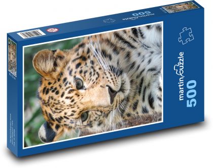 Leopard - Puzzle 500 dielikov, rozmer 46x30 cm 