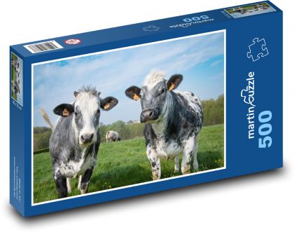 Kühe auf der Weide - Puzzle - 500 Teile
