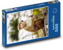 Małpa - makak Puzzle 500 elementów - 46x30 cm