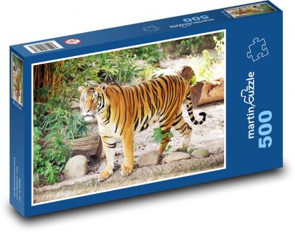 Tygr v zoo - puzzle 500 dílků