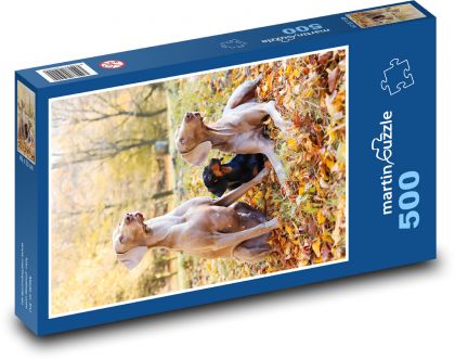Weimaraner - Puzzle of 500 pieces, size 46x30 cm 
