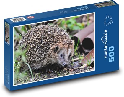 Jeż w przyrodzie - Puzzle 500 elementów, rozmiar 46x30 cm