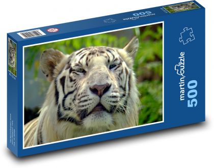 Bengálsky tiger - Puzzle 500 dielikov, rozmer 46x30 cm 