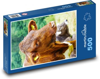 Krowa - bydło - Puzzle 500 elementów, rozmiar 46x30 cm