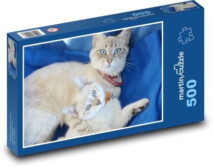 Kitten with mother - Puzzle of 500 pieces, size 46x30 cm 