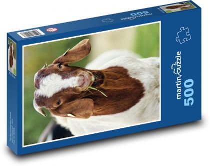 Koza - puzzle 500 dílků