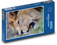 Barbarischer Löwe Puzzle 500 Teile - 46 x 30 cm