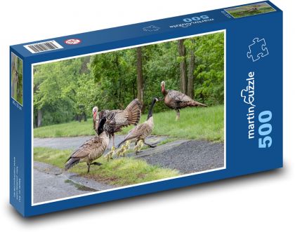 Indyk - kaczka - Puzzle 500 elementów, rozmiar 46x30 cm