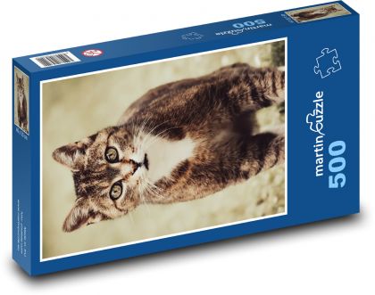 Cat  - Puzzle of 500 pieces, size 46x30 cm 