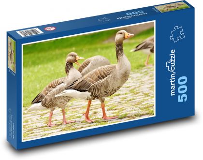 Divoké husi - Puzzle 500 dielikov, rozmer 46x30 cm 