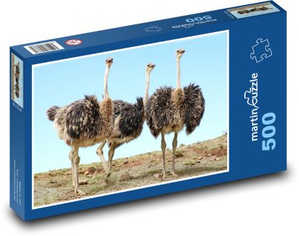 Strauß - Vogel - Puzzle - 500 Teile