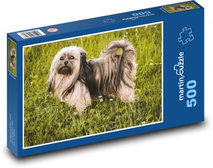 Dog - Bolognese - Puzzle of 500 pieces, size 46x30 cm 