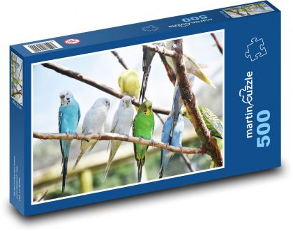 Papugi - ptaki - Puzzle 500 elementów, rozmiar 46x30 cm