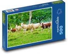 Krowy - stado Puzzle 500 elementów - 46x30 cm