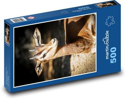 Gazela - Puzzle 500 dielikov, rozmer 46x30 cm 