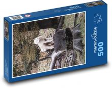 Biely vlk Puzzle 500 dielikov - 46 x 30 cm 