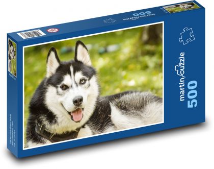 Husky - Hund - Puzzle - 500 Teile