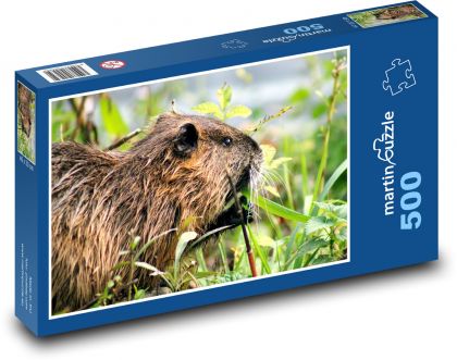 Nutria - hlodavec - Puzzle 500 dielikov, rozmer 46x30 cm 