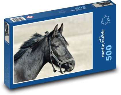 Black Horse - Puzzle of 500 pieces, size 46x30 cm 