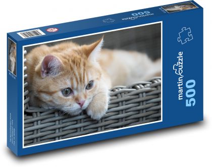 Mačka v prútenom koši - Puzzle 500 dielikov, rozmer 46x30 cm 