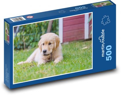 Zlatý retriever - šteniatko - Puzzle 500 dielikov, rozmer 46x30 cm 