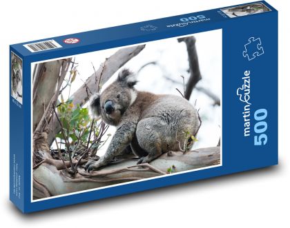 Koala - puzzle 500 dílků