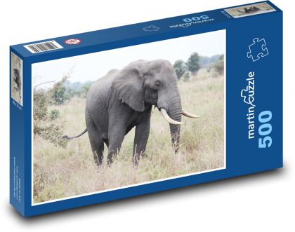 Afrika - slon - puzzle 500 dílků