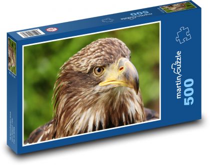 Orlia hlava - Puzzle 500 dielikov, rozmer 46x30 cm 