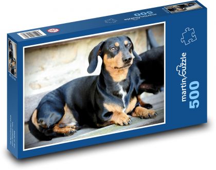Dog - Dachshund - Puzzle of 500 pieces, size 46x30 cm 