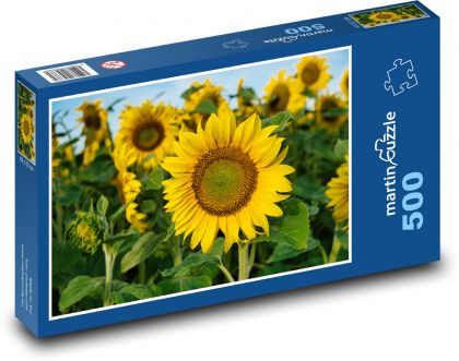 Sonnenblumen - Puzzle - 500 Teile