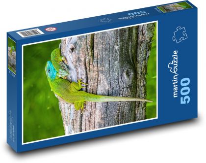 Chameleon - lizard - Puzzle of 500 pieces, size 46x30 cm 