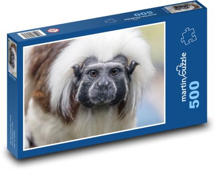 Opice - tamarin - puzzle 500 dílků
