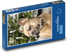 Pes - francouzský buldoček, vánoce Puzzle 500 dílků - 46 x 30 cm