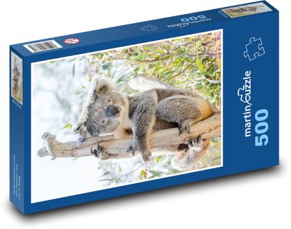 Koala - vačnatec - puzzle 500 dílků