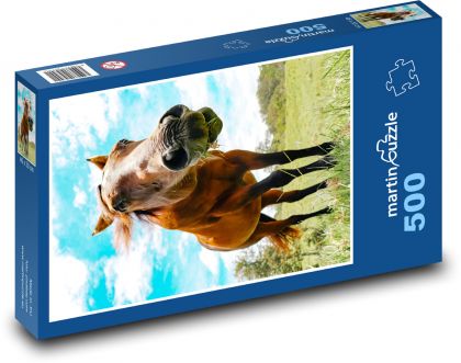 Zwierzę - koń - Puzzle 500 elementów, rozmiar 46x30 cm