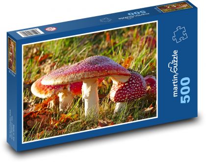 Houby, Muchomůrky - puzzle 500 dílků