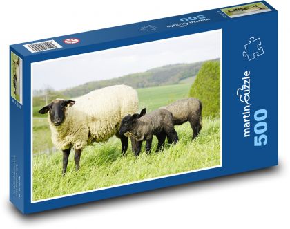 Ovce - Puzzle 500 dielikov, rozmer 46x30 cm 